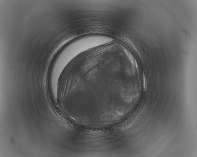 X0000112010531200908311136