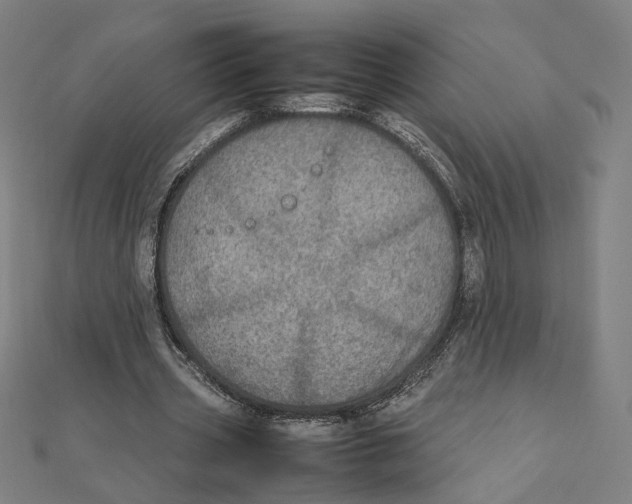 X0000112010533200908311136