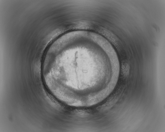 X0000112010534200908311136