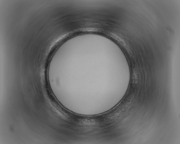 X0000112010535200908311136