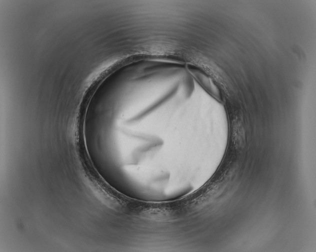 X0000112010536200908311136