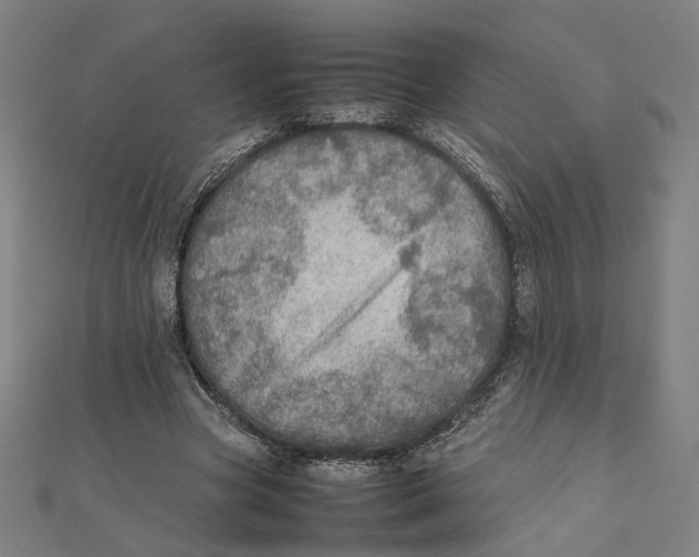 X0000112010537200908311136