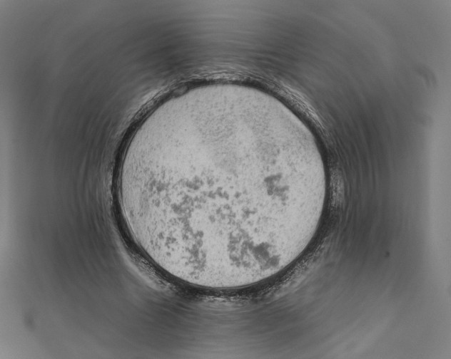 X0000112010538200908311136