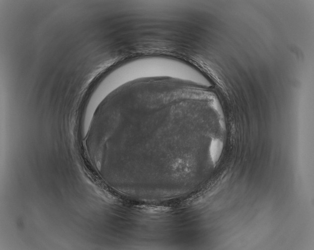 X0000112010539200908311136