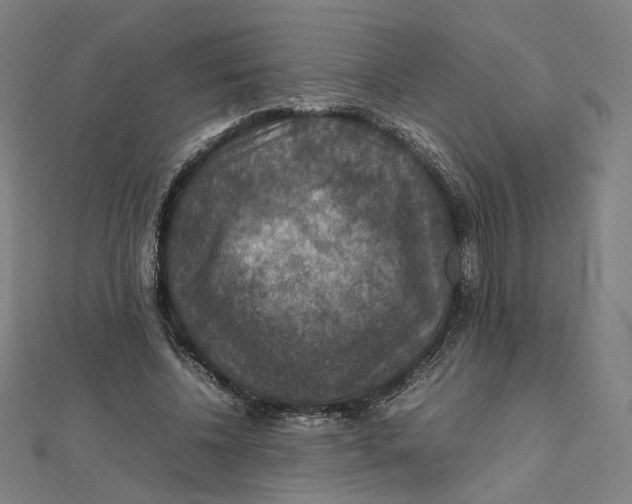 X0000112010540200908311136