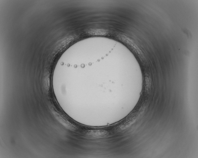 X0000112010541200908311136