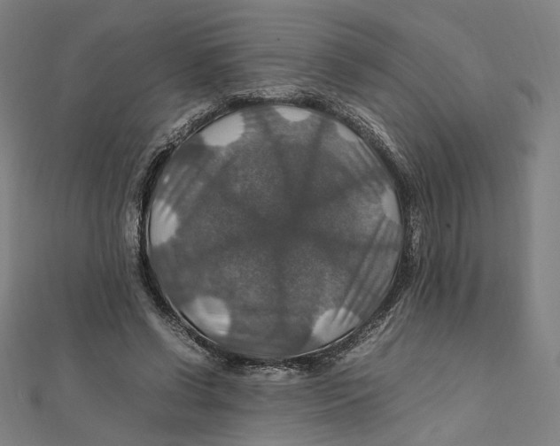 X0000112010542200908311136