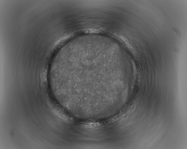 X0000112010543200908311136