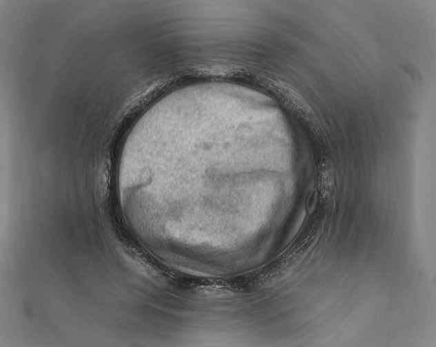 X0000112010544200908311136
