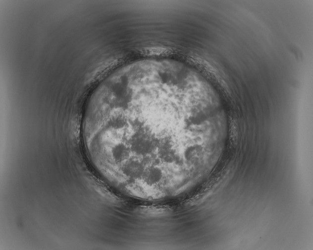 X0000112010545200908311136