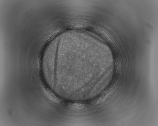 X0000112010546200908311136