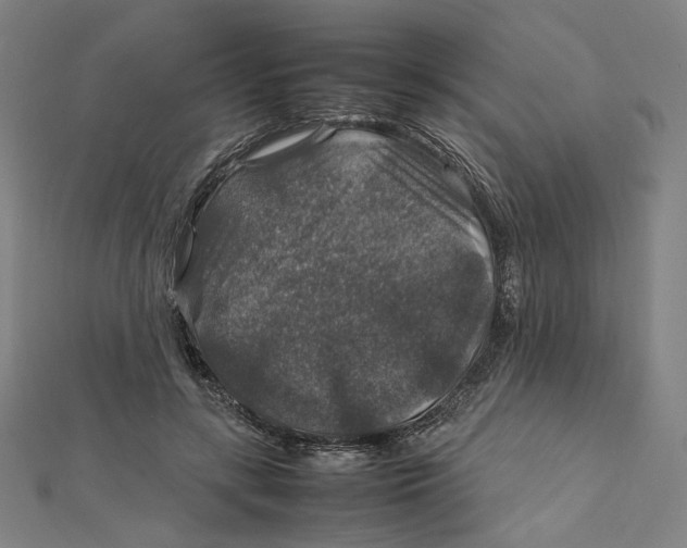 X0000112010547200908311136