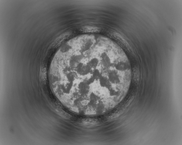 X0000112010549200908311136