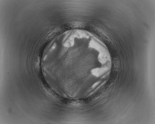 X0000112010550200908311136