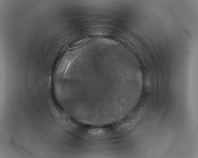 X0000112010551200908311136