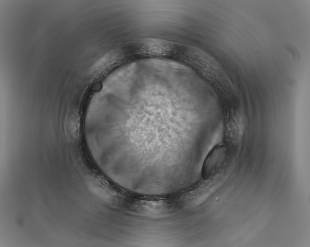 X0000112010552200908311136