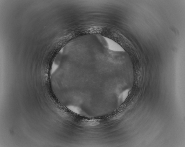 X0000112010553200908311136
