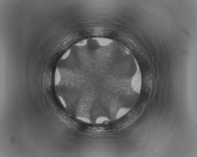 X0000112010554200908311136