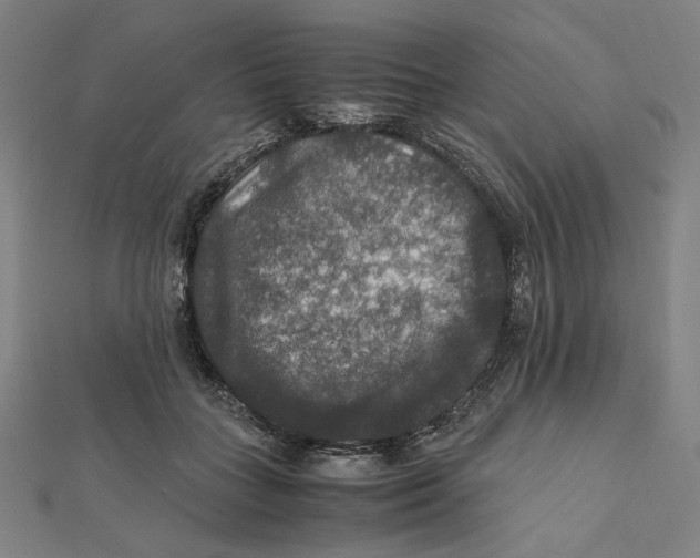 X0000112010555200908311136