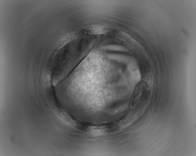 X0000112010556200908311136