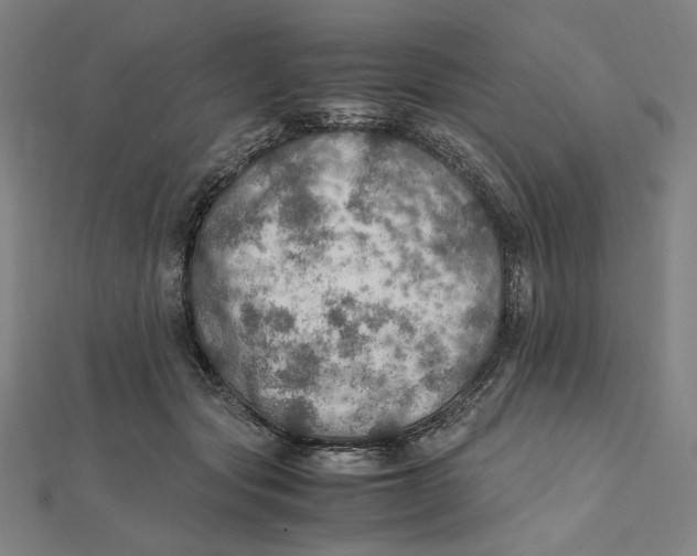 X0000112010557200908311136