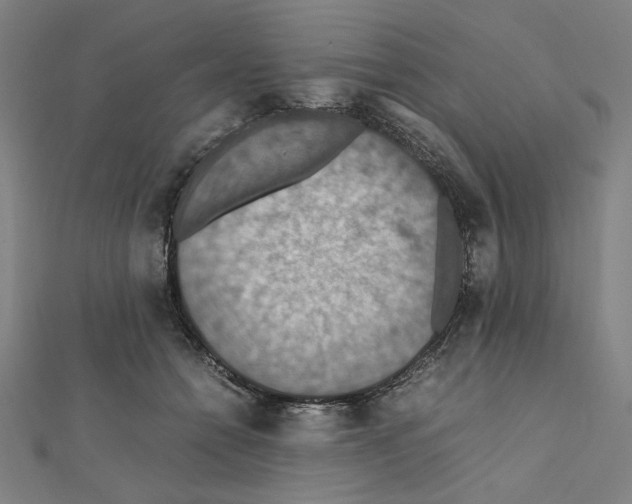 X0000112010558200908311136