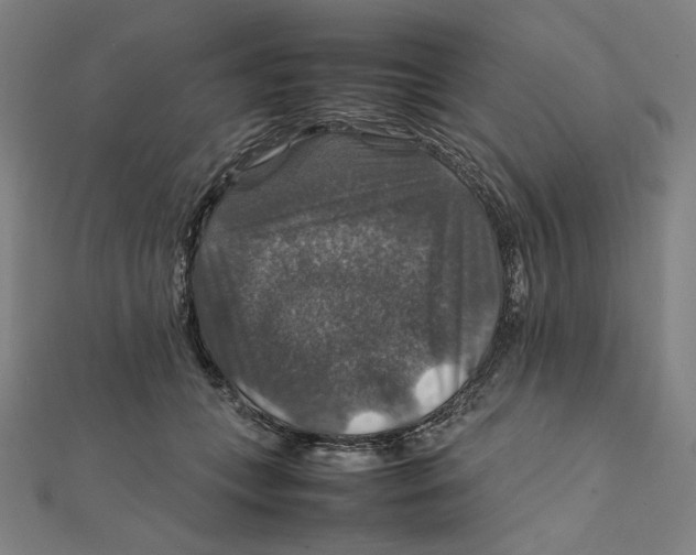X0000112010559200908311136