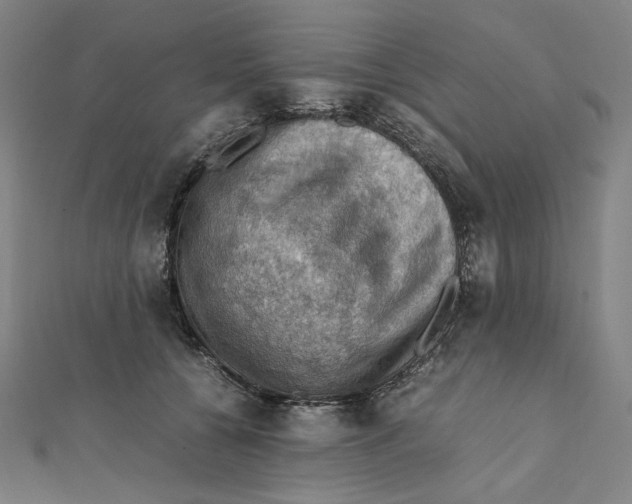 X0000112010560200908311136