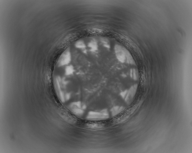 X0000112010561200908311136