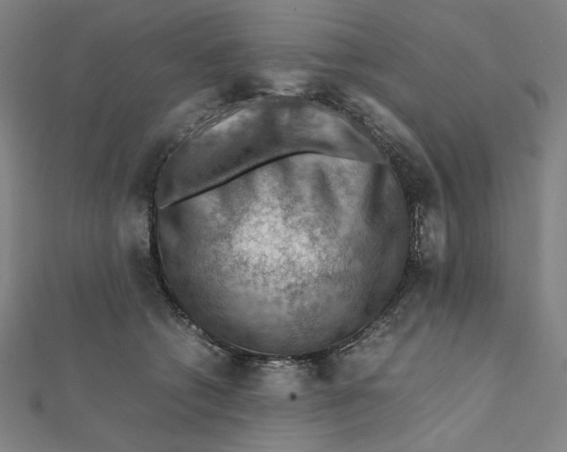 X0000112010562200908311136