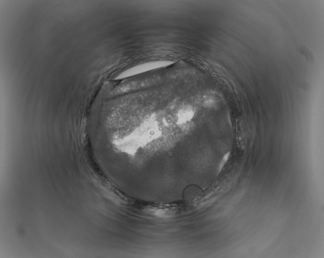 X0000112010563200908311136