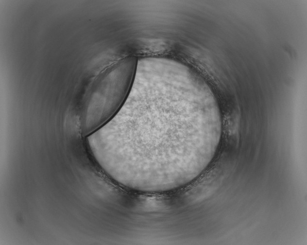 X0000112010564200908311136