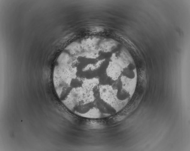 X0000112010565200908311136