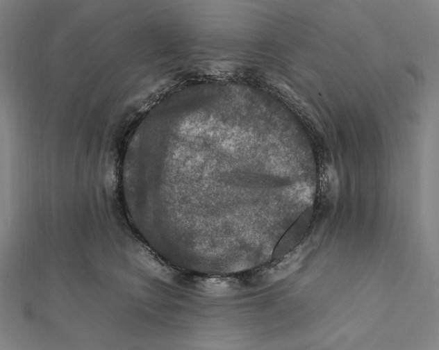 X0000112010566200908311136