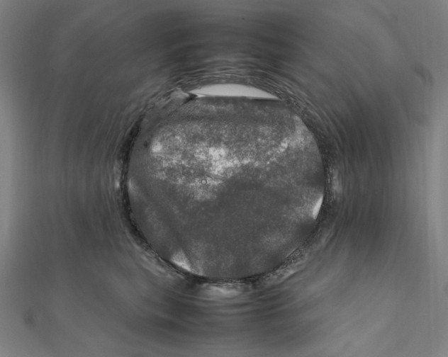 X0000112010567200908311136