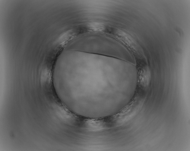 X0000112010568200908311136