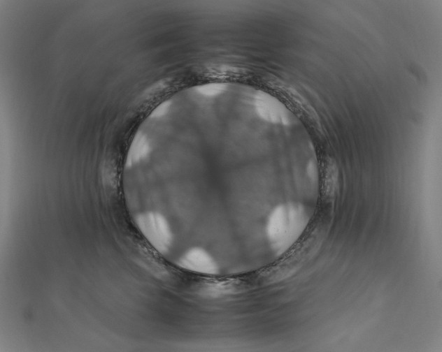 X0000112010569200908311136