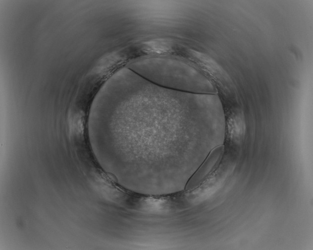 X0000112010570200908311136