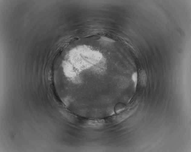 X0000112010571200908311136
