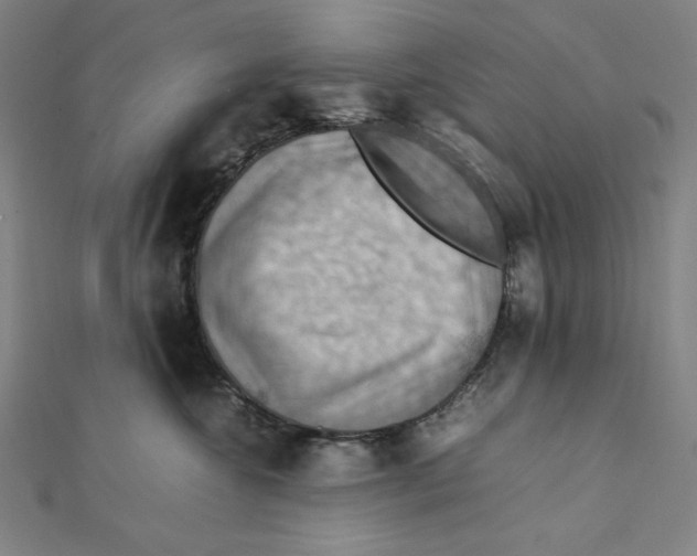 X0000112010572200908311136