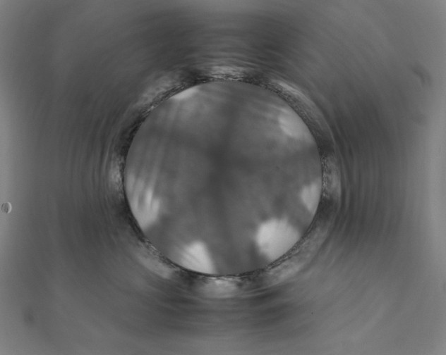 X0000112010573200908311136