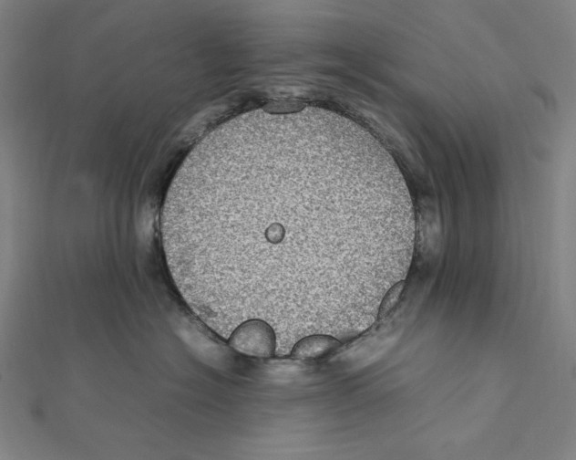 X0000112010574200908311136