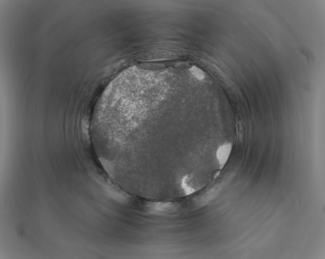 X0000112010575200908311136