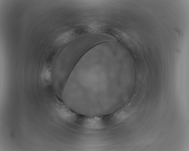 X0000112010576200908311137