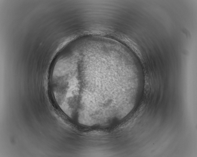 X0000112010578200908311136