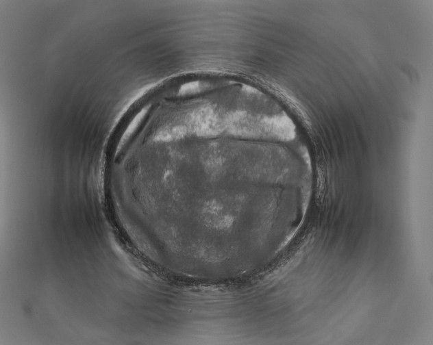 X0000112010580200908311136