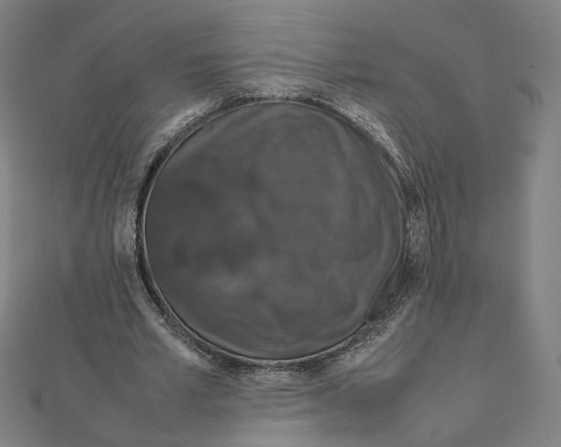 X0000112010581200908311136