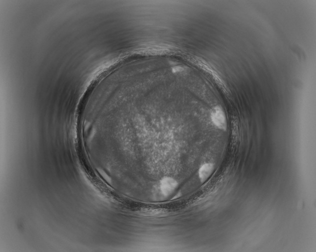X0000112010582200908311136