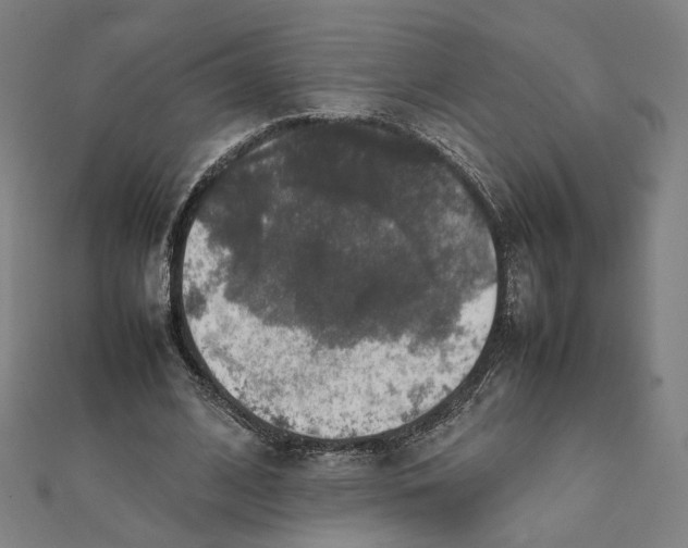 X0000112010584200908311136
