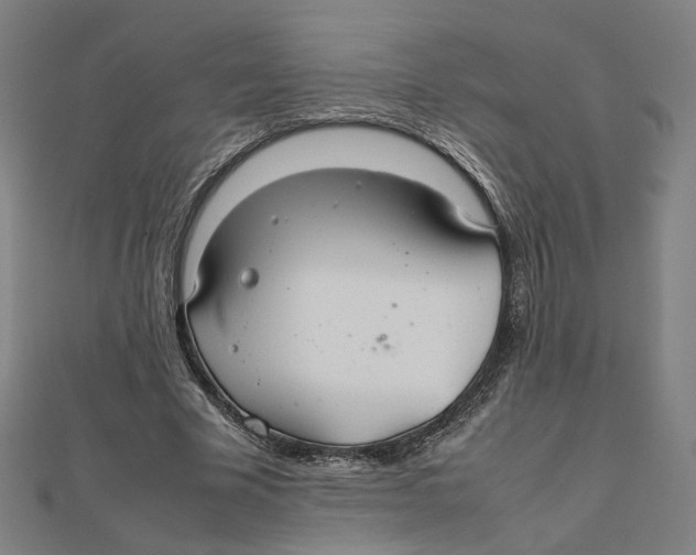 X0000112010585200908311136